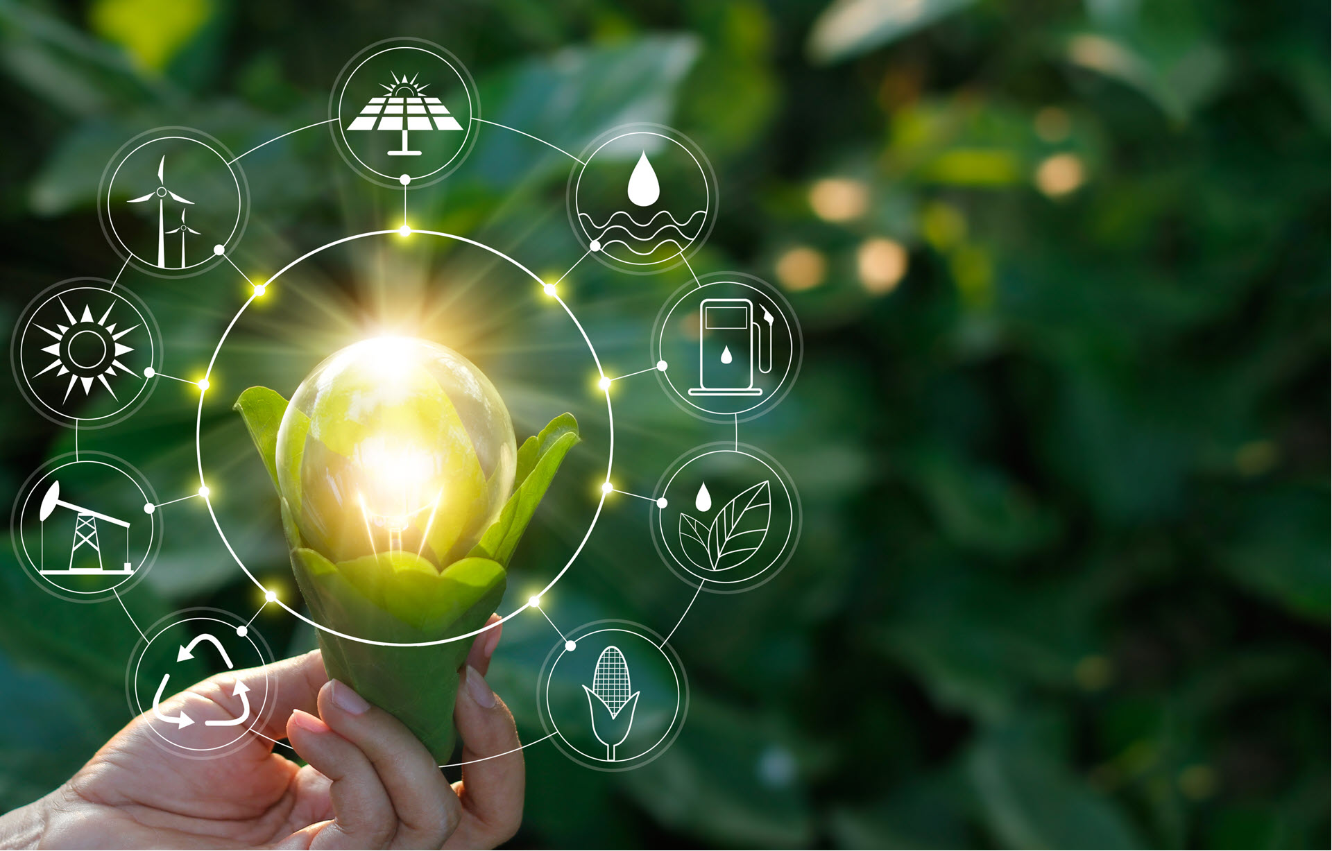 réduire-impact-numérique-environnement-énergies-vertes-z0Gravity comme réduire l'impact du numérique sur l'environnement avec z0 Gravity - avoir recours aux énergies vertes